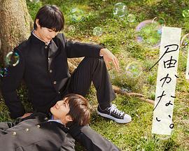 学校网站优化及运营